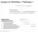 Fig. 01 - Methods and organisms for utilizing synthesis gas or other gaseous carbon sources and methanol
