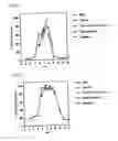 Fig. 02 - NOVEL FRUCTOSYL PEPTIDE OXIDASE