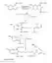 Fig. 07 - Conjugates of biological substances