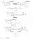 Fig. 09 - Conjugates of biological substances