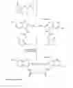 Fig. 16 - Conjugates of biological substances