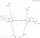 Fig. 28 - Conjugates of biological substances