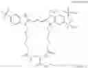 Fig. 47 - Conjugates of biological substances