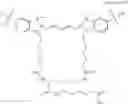 Fig. 49 - Conjugates of biological substances