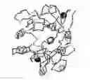 Fig. 01 - Subtilases