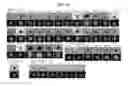 Fig. 15 - METHOD OF PREPARING INDUCED PLURIPOTENT STEM CELLS DEPRIVED OF REPROGRAMMING GENE