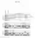 Fig. 18 - METHOD OF PREPARING INDUCED PLURIPOTENT STEM CELLS DEPRIVED OF REPROGRAMMING GENE