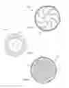 Fig. 03 - Process to remove impurities from triacylglycerol oil