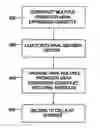 Fig. 01 - Multiple promoter expression cassettes for simultaneous delivery of RNAi agents