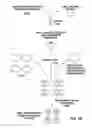 Fig. 07 - Multiple promoter expression cassettes for simultaneous delivery of RNAi agents