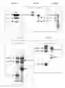 Fig. 24 - CHIMERIC AUTOPROCESSING POLYPEPTIDES AND USES THEREOF
