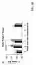 Fig. 04 - USE OF CORTICOSTERONE FOR INCREASING EGG ANTIBODY