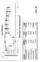 Fig. 10 - USE OF CORTICOSTERONE FOR INCREASING EGG ANTIBODY