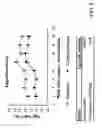 Fig. 11 - USE OF CORTICOSTERONE FOR INCREASING EGG ANTIBODY
