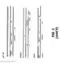 Fig. 04 - Compositions and methods of use for MGD-CSF in disease treatment