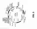 Fig. 05 - Compositions and methods of use for MGD-CSF in disease treatment