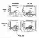 Fig. 19 - Compositions and methods of use for MGD-CSF in disease treatment