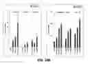 Fig. 23 - Compositions and methods of use for MGD-CSF in disease treatment