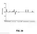 Fig. 26 - Compositions and methods of use for MGD-CSF in disease treatment