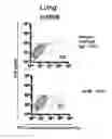 Fig. 01 - Identification and characterization of cancer stem cells and methods of use