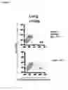 Fig. 02 - Identification and characterization of cancer stem cells and methods of use