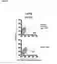 Fig. 03 - Identification and characterization of cancer stem cells and methods of use