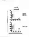 Fig. 04 - Identification and characterization of cancer stem cells and methods of use