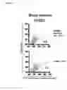 Fig. 06 - Identification and characterization of cancer stem cells and methods of use