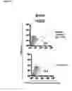 Fig. 07 - Identification and characterization of cancer stem cells and methods of use