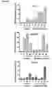Fig. 11 - Identification and characterization of cancer stem cells and methods of use