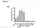 Fig. 14 - Identification and characterization of cancer stem cells and methods of use