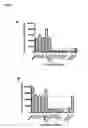 Fig. 17 - Identification and characterization of cancer stem cells and methods of use