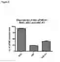 Fig. 18 - Identification and characterization of cancer stem cells and methods of use