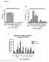 Fig. 19 - Identification and characterization of cancer stem cells and methods of use