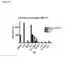 Fig. 20 - Identification and characterization of cancer stem cells and methods of use