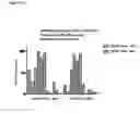 Fig. 22 - Identification and characterization of cancer stem cells and methods of use