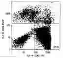 Fig. 01 - Method of producing erythrocytes without feeder cells