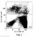 Fig. 02 - Method of producing erythrocytes without feeder cells