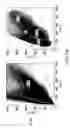 Fig. 18 - Method of producing erythrocytes without feeder cells
