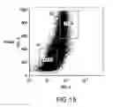 Fig. 19 - Method of producing erythrocytes without feeder cells