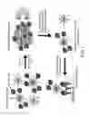 Fig. 02 - System and method for magnetically concentrating and detecting biomarkers