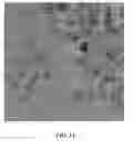 Fig. 17 - System and method for magnetically concentrating and detecting biomarkers