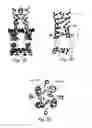 Fig. 03 - SYSTEMS AND METHODS FOR STUDYING INFLUENZA