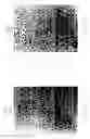 Fig. 16 - Tumor necrosis factor-gamma