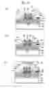 Fig. 09 - Testing method of surface-emitting laser device and testing device thereof