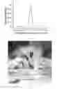 Fig. 06 - Fabrication method of gallium nitride-based compound semiconductor