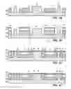 Fig. 06 - METHOD OF MAKING A SEMICONDUCTOR CHIP ASSEMBLY WITH A POST/BASE/FLANGE HEAT SPREADER AND A CAVITY IN THE FLANGE