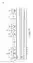 Fig. 06 - Methods of forming memory cells; and methods of forming vertical structures