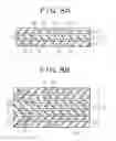 Fig. 09 - Wiring substrate for mounting semiconductors, method of manufacturing the same, and semiconductor package