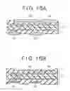 Fig. 15 - Wiring substrate for mounting semiconductors, method of manufacturing the same, and semiconductor package